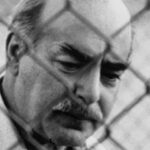 Michael V Gazzo